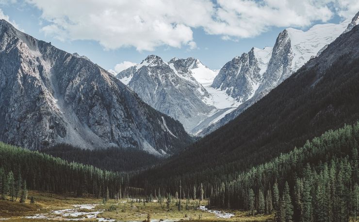 出国移民中介咨询